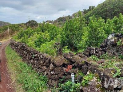 Acheter Terrain 801 m2 Lajes-do-pico