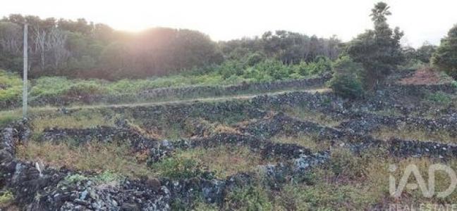 Acheter Terrain Lajes-do-pico r�gion ACORES