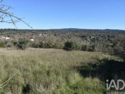 Annonce Vente Terrain Ferreira-do-zezere