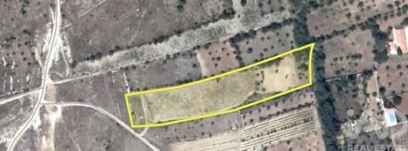 Acheter Terrain 9160 m2 Ferreira-do-zezere