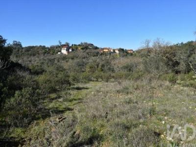 Annonce Vente Terrain Ferreira-do-zezere