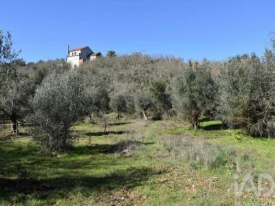 Acheter Terrain 2160 m2 Ferreira-do-zezere