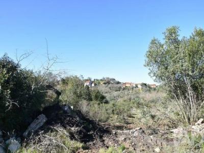 Acheter Terrain Ferreira-do-zezere r�gion SANTAREM
