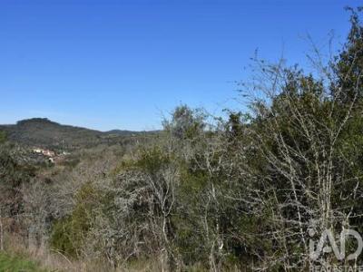 Acheter Terrain 2000 m2 Ferreira-do-zezere