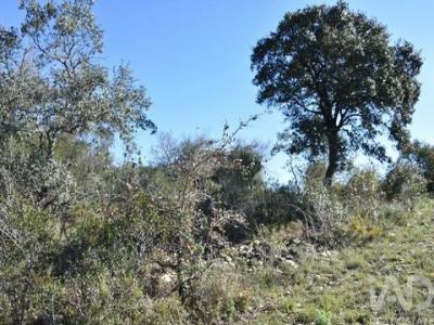 Acheter Terrain Ferreira-do-zezere r�gion SANTAREM