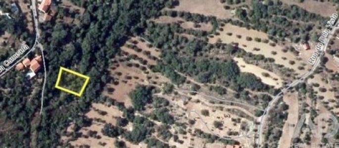 Annonce Vente Terrain Ferreira-do-zezere