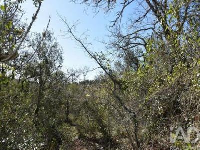 Acheter Terrain 800 m2 Ferreira-do-zezere