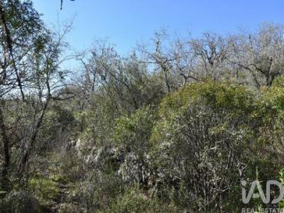 Acheter Terrain Ferreira-do-zezere r�gion SANTAREM