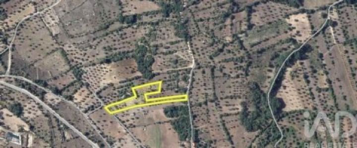 Annonce Vente Terrain Ferreira-do-zezere