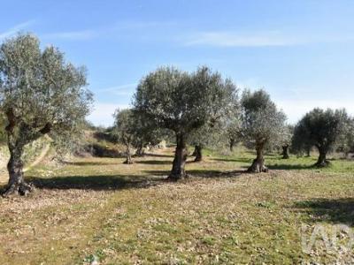 Acheter Terrain Ferreira-do-zezere r�gion SANTAREM