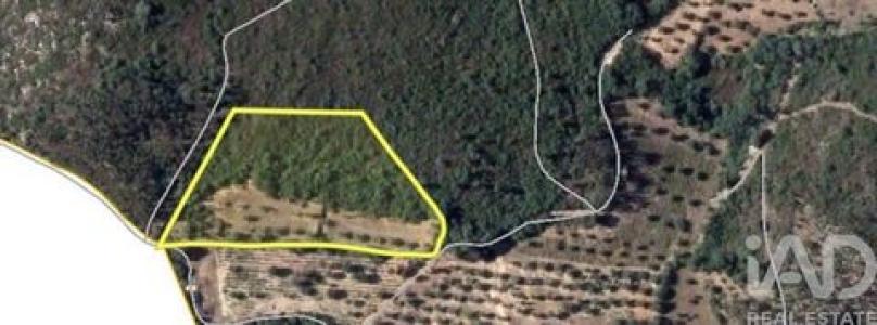 Annonce Vente Terrain Ferreira-do-zezere