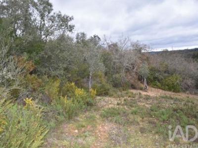 Acheter Terrain Ferreira-do-zezere r�gion SANTAREM
