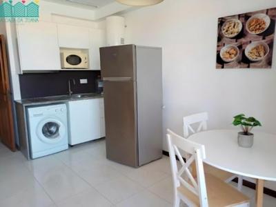 Louer Appartement 40 m2 Aveiro