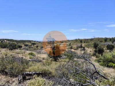 Annonce Vente Terrain Altura