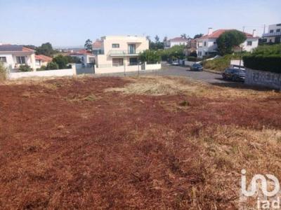 Acheter Terrain Lourinha r�gion LISBOA