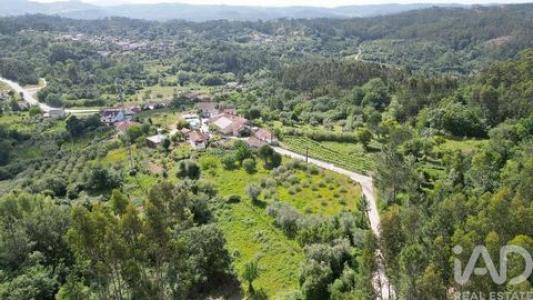 Vente Terrain Penela SA�O-MIGUEL,-SANTA-EUFA�MIA-E-RABAA�AL 06 au Portugal