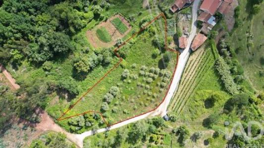 Annonce Vente Terrain Penela