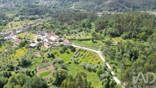 Acheter Terrain 2552 m2 Penela