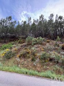Acheter Terrain 1400 m2 Castelo-branco