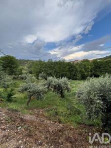 Acheter Terrain Castelo-branco r�gion BRAGANCA
