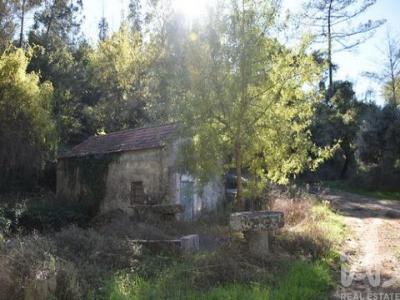 Acheter Maison 31 m2 Ourem