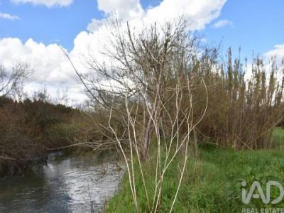 Vente Terrain Ourem FREIXIANDA,-RIBEIRA-DO-FARRIO-E-FORMIGAIS 14 au Portugal