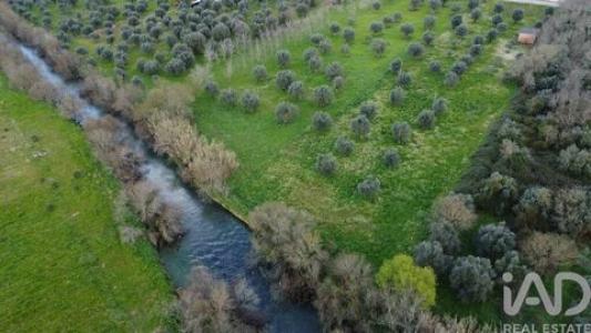 Annonce Vente Terrain Ourem