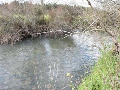 Acheter Terrain Ourem r�gion SANTAREM