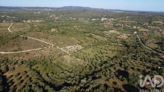 Annonce Vente Terrain Ferreira-do-zezere