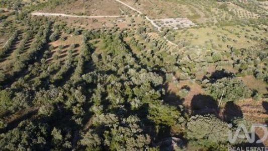 Acheter Terrain 4800 m2 Ferreira-do-zezere