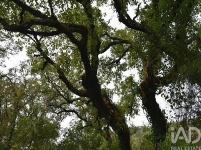 Vente Terrain Ferreira-do-zezere CHA�OS 14 au Portugal