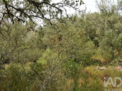 Acheter Terrain 4120 m2 Ferreira-do-zezere