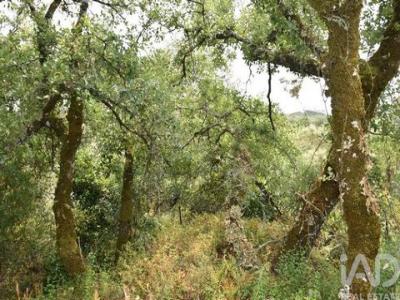 Acheter Terrain Ferreira-do-zezere r�gion SANTAREM