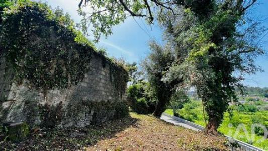 Annonce Vente Maison Amarante
