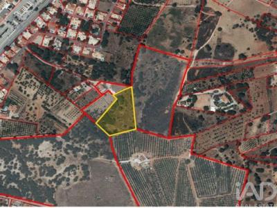 Annonce Vente Terrain Loule
