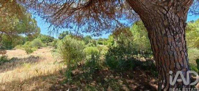 Acheter Terrain 9118 m2 Loule