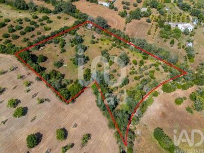 Annonce Vente Terrain Loule