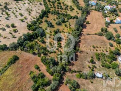 Acheter Terrain Loule r�gion FARO