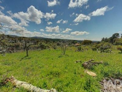 Acheter Terrain 2840 m2 Serta