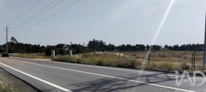 Annonce Vente Terrain Almeirim