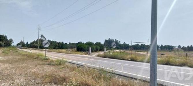 Acheter Terrain 32180 m2 Almeirim