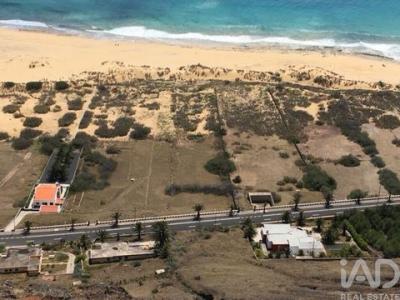 Annonce Vente Terrain Porto-santo