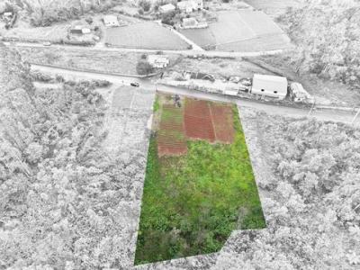 Annonce Vente Terrain Santana