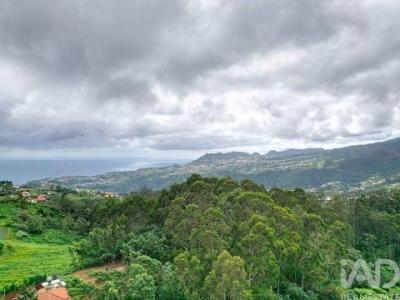 Acheter Terrain 3630 m2 Santana