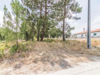 Annonce Vente Terrain Marinha-grande
