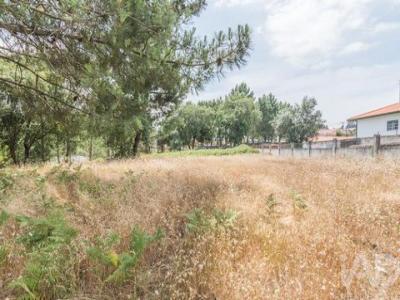 Acheter Terrain 702 m2 Marinha-grande