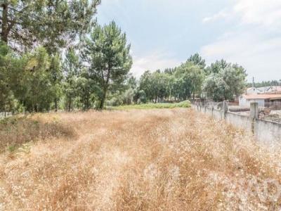 Acheter Terrain Marinha-grande r�gion LEIRIA