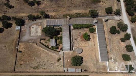 Vente Terrain Palmela QUINTA-DO-ANJO 15 au Portugal