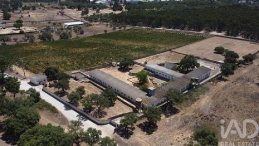 Annonce Vente Terrain Palmela