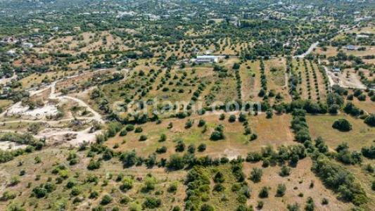 Annonce Vente Terrain Faro